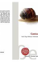 Caecum Cooperi: (English)
