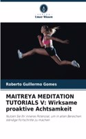Maitreya Meditation Tutorials V