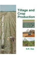 Tillage and Crop Production