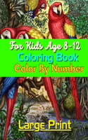 Large Print Color By Number Coloring Book