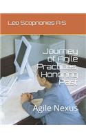 Journey of Agile Practices, Honoring Past