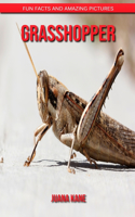 Grasshopper: Fun Facts and Amazing Pictures