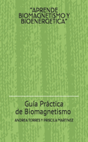 Curso Integral de Biomagnetismo Y Bioenergetica