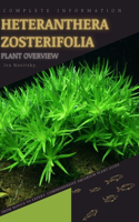 Heteranthera Zosterifolia