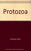 Protozoa