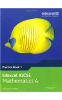Edexcel International GCSE Mathematics A Practice Book 1
