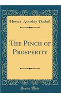 The Pinch of Prosperity (Classic Reprint)