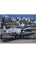 Storm of Eagles