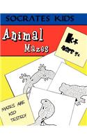 Animal Mazes (Socrates Kids Workbook Series)