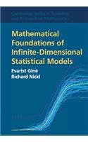 Mathematical Foundations of Infinite-Dimensional Statistical Models