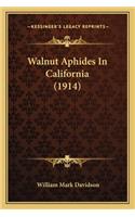 Walnut Aphides In California (1914)