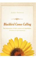 Blackbird Comes Calling: The Intersection of Faith, Science and Depression. Christians Do Get Depressed.
