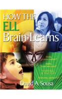 How the ELL Brain Learns