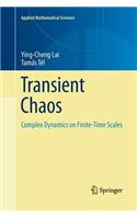 Transient Chaos