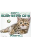Discover Mixed-Breed Cats