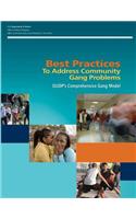 Best Practices To Address Community Gang Problems