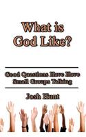 What Is God Like?: Good Questions Have Small Groups Talking