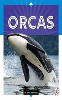 Orcas