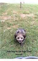 Cute Dog #3