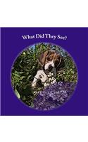 What Did They See?: An Interactive Children's Book(English)