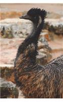 The Australian Emu Journal: 150 page lined notebook/diary