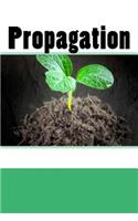 Propagation (Journal / Notebook)