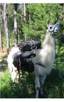 Llama with a Pack Adventure Camping Journal