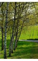 Birch Trees in a Field Journal: Take Notes, Write Down Memories in this 150 Page Lined Journal