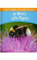 Bee's Life Cycle