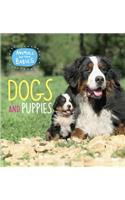 Dogs and Puppies