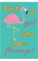 Just A Girl Who Loves Flamingos