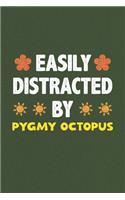 Easily Distracted By Pygmy Octopus