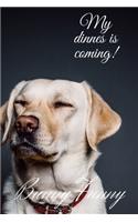Funny Dog