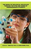 The World of Biological Molecules Through the Eyes and Hands of Undergraduate Students