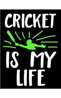 Cricket Is My Life