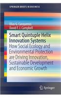 Smart Quintuple Helix Innovation Systems