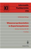 Wissensrepräsentation in Expertensystemen