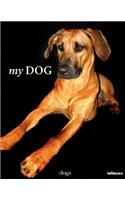 My Dog