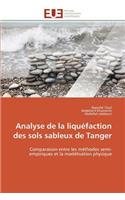 Analyse de la Liquéfaction Des Sols Sableux de Tanger