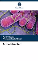 Acinetobacter