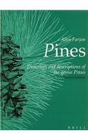 Pines: Drawings and Descriptions of the Genus Pinus