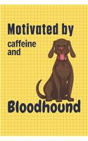 Motivated by caffeine and Bloodhound