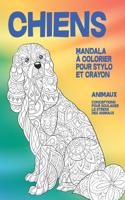 Mandala à colorier pour stylo et crayon - Conceptions pour soulager le stress des animaux - Animaux - Chiens