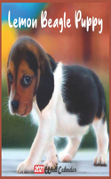 Beagle Puppies 2021 Wall Calendar