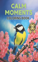 Calm Moments