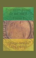 Primeros pasos de un awo: Tomo 1(1 Primeros Pasos de Un Awo)