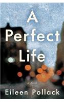 A Perfect Life