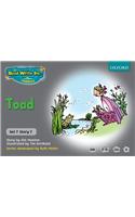 Read Write Inc. Phonics: Grey Set 7 Storybooks: Toad