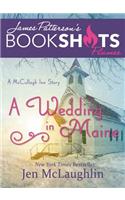 Wedding in Maine