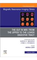 MR Imaging of the Bowel, An Issue of Magnetic Resonance Imaging Clinics of North America